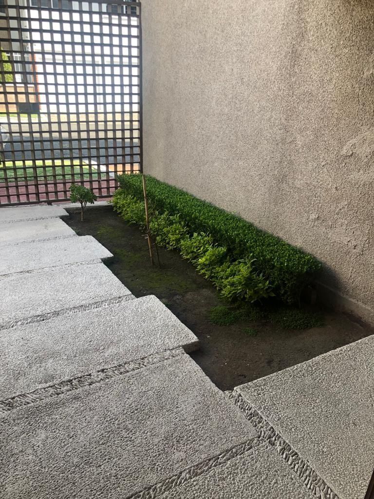 5 de 20