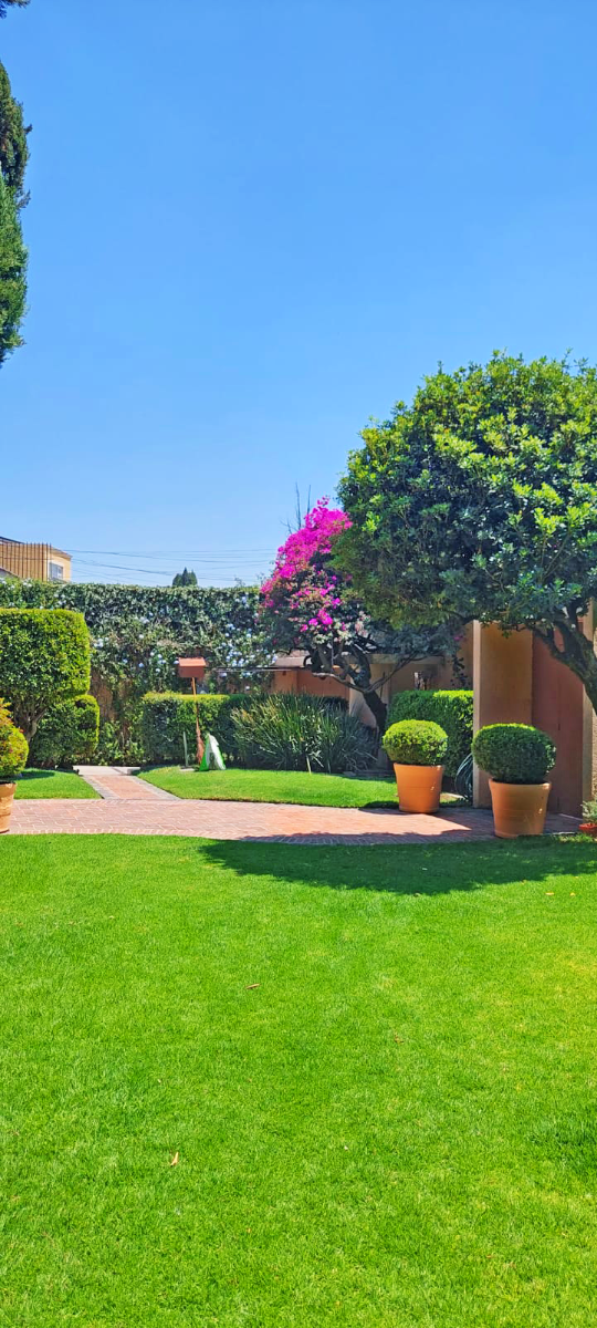 3 de 49: Amplisimos jardines