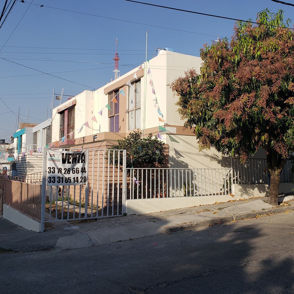 2 de 12