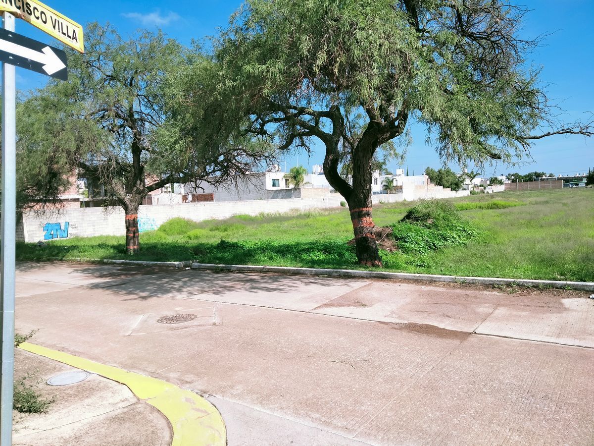 2 de 6