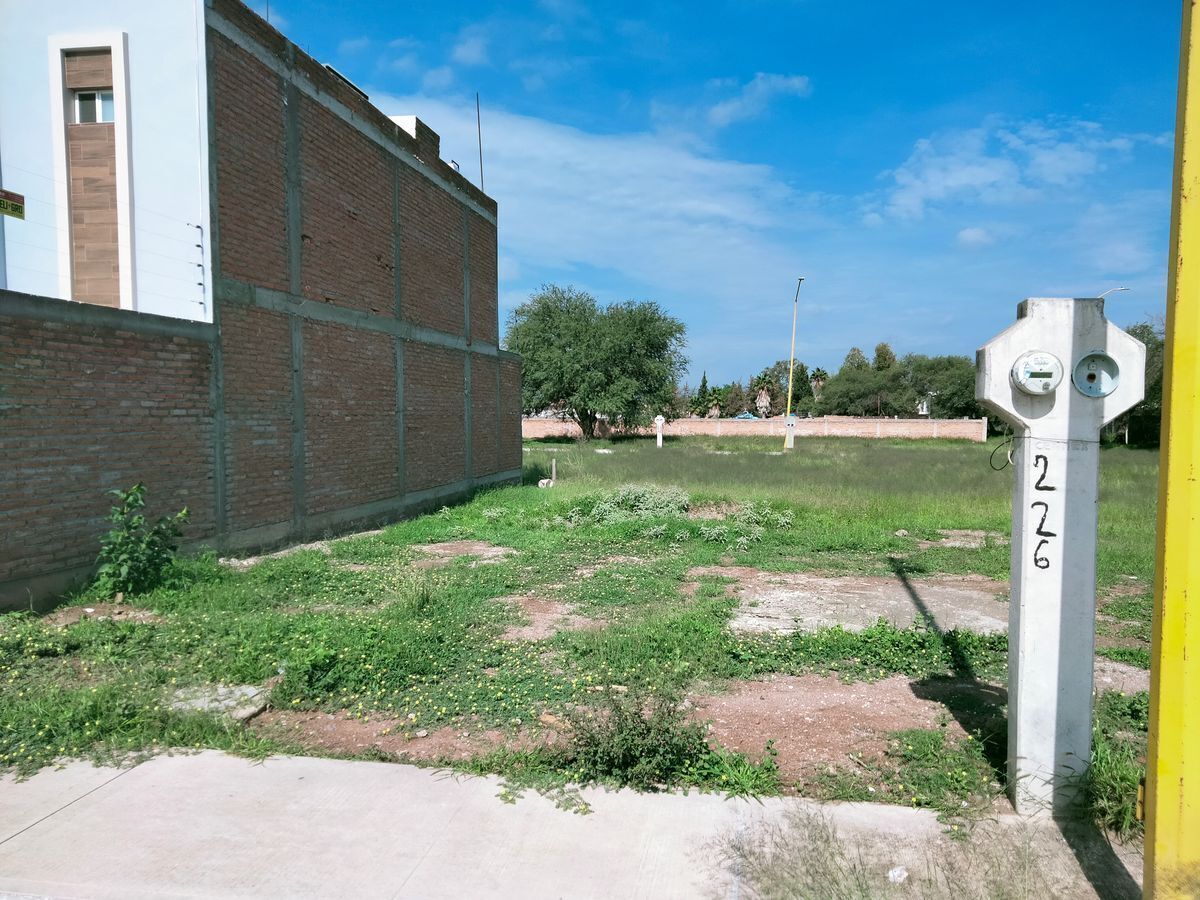 5 de 6
