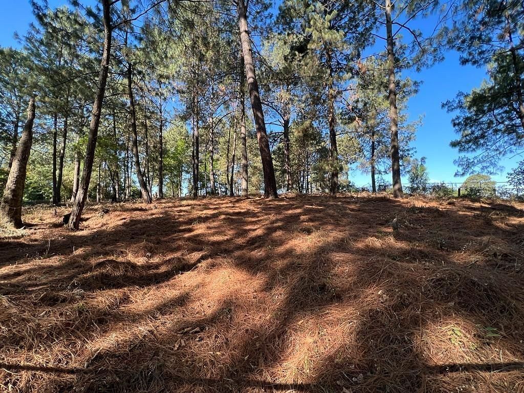 Terreno en Cerro Gordo, Valle de Bravo, foto 2 de 9