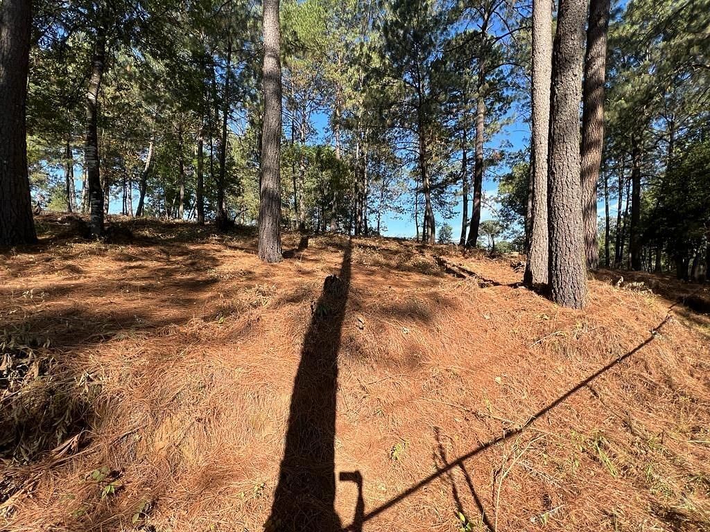 Terreno en Cerro Gordo, Valle de Bravo, foto 3 de 9
