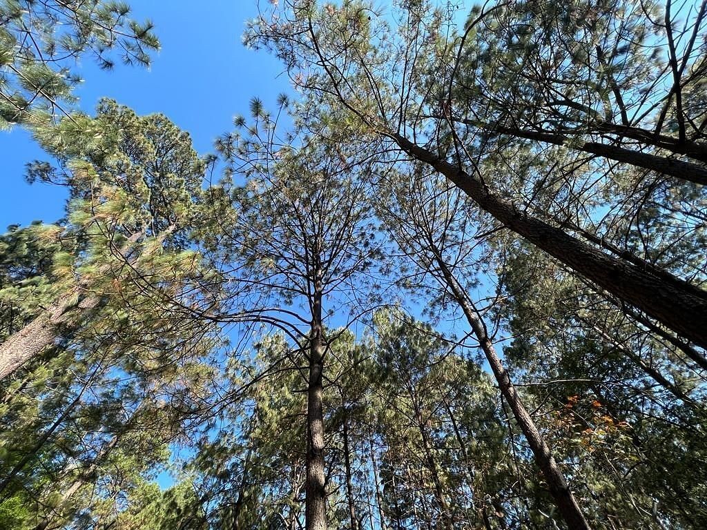 Terreno en Cerro Gordo, Valle de Bravo, foto 4 de 9
