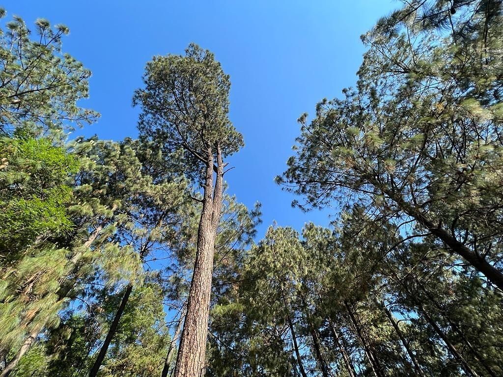 Terreno en Cerro Gordo, Valle de Bravo, foto 5 de 9