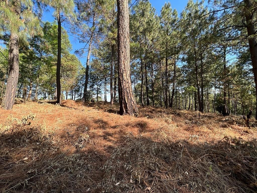 Terreno en Cerro Gordo, Valle de Bravo, foto 6 de 9
