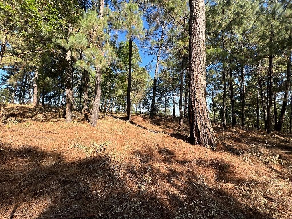 Terreno en Cerro Gordo, Valle de Bravo, foto 7 de 9