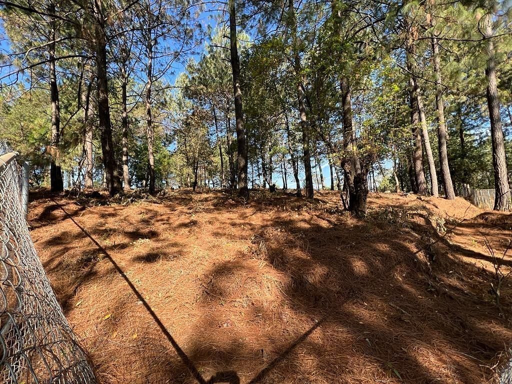 Terreno en Cerro Gordo, Valle de Bravo, foto 8 de 9