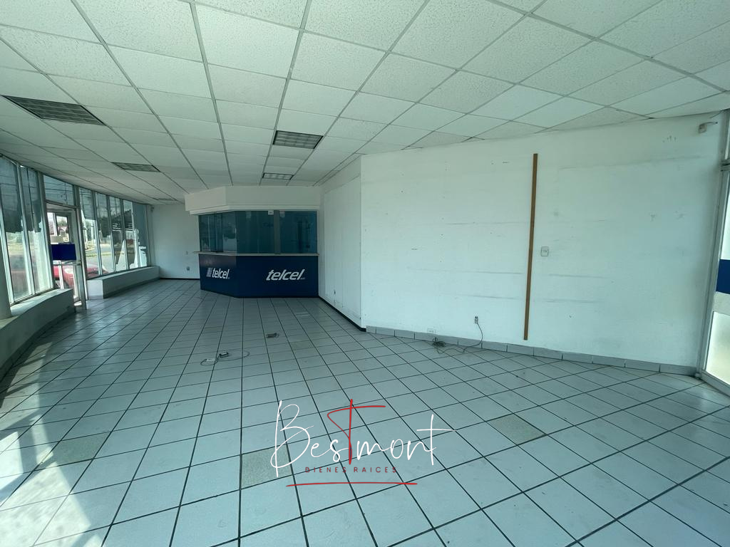 3 de 11: Interior Local