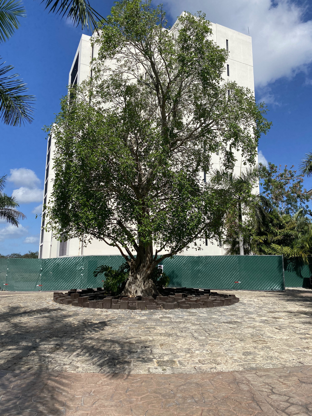 Villa en renta en Harmonia, Yucatán Country Club, Mérida