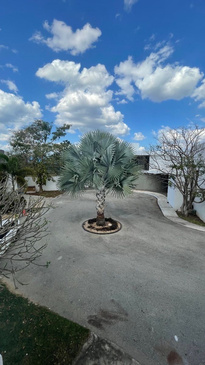 11 of 29: Casa club