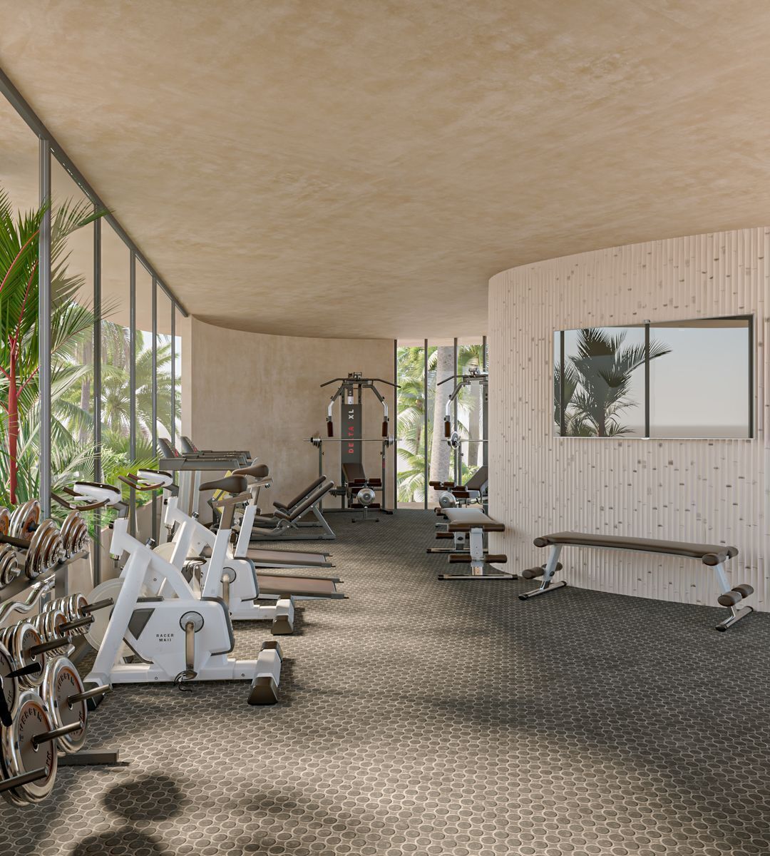 13 de 18: Gimnasio