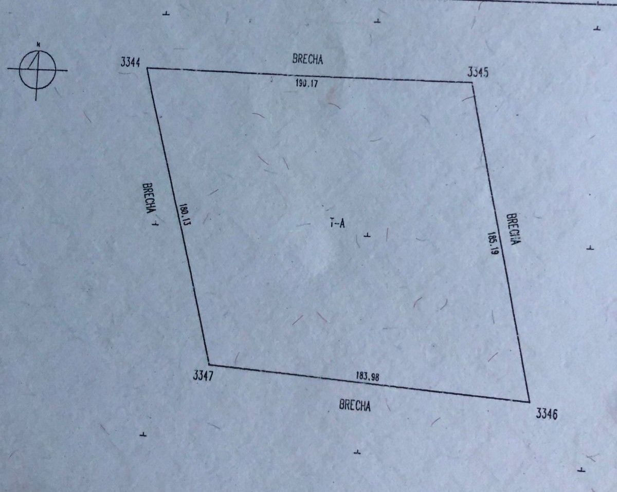 5 de 6