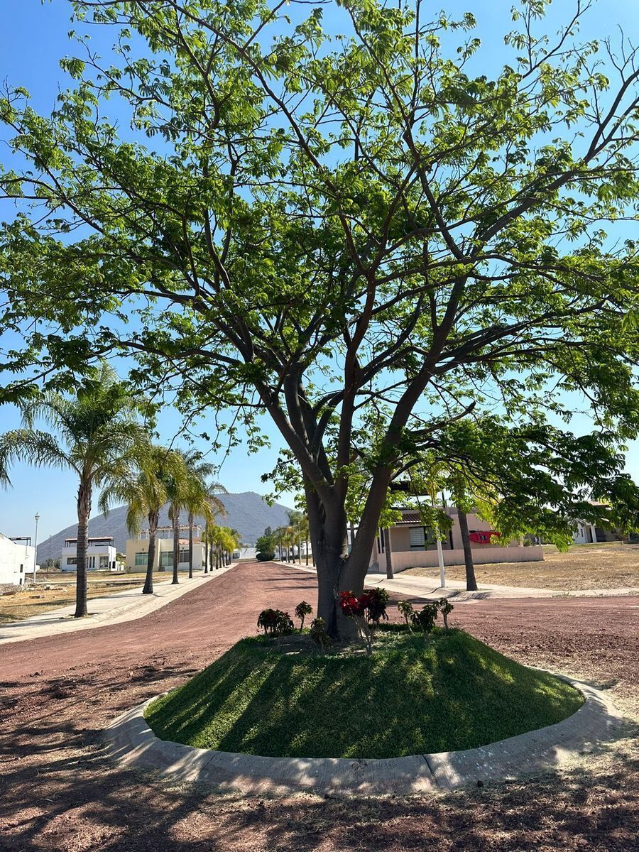 45 de 50