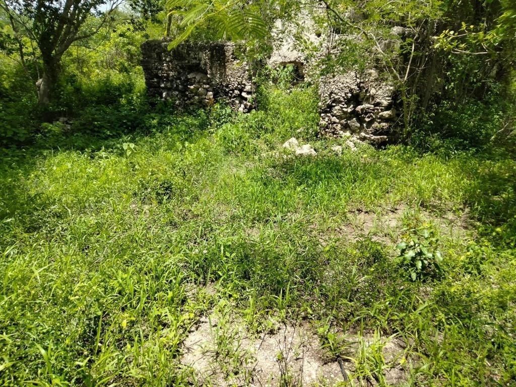 4 de 5