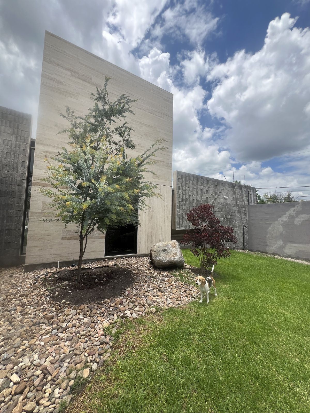 1 de 27: ENTRADA AL JARDIN