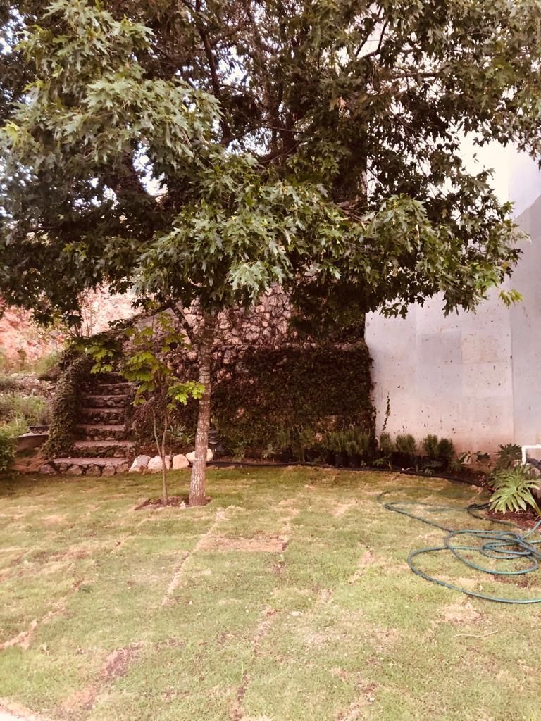 7 de 23