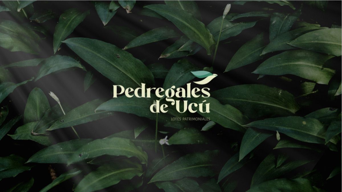 1 de 2
