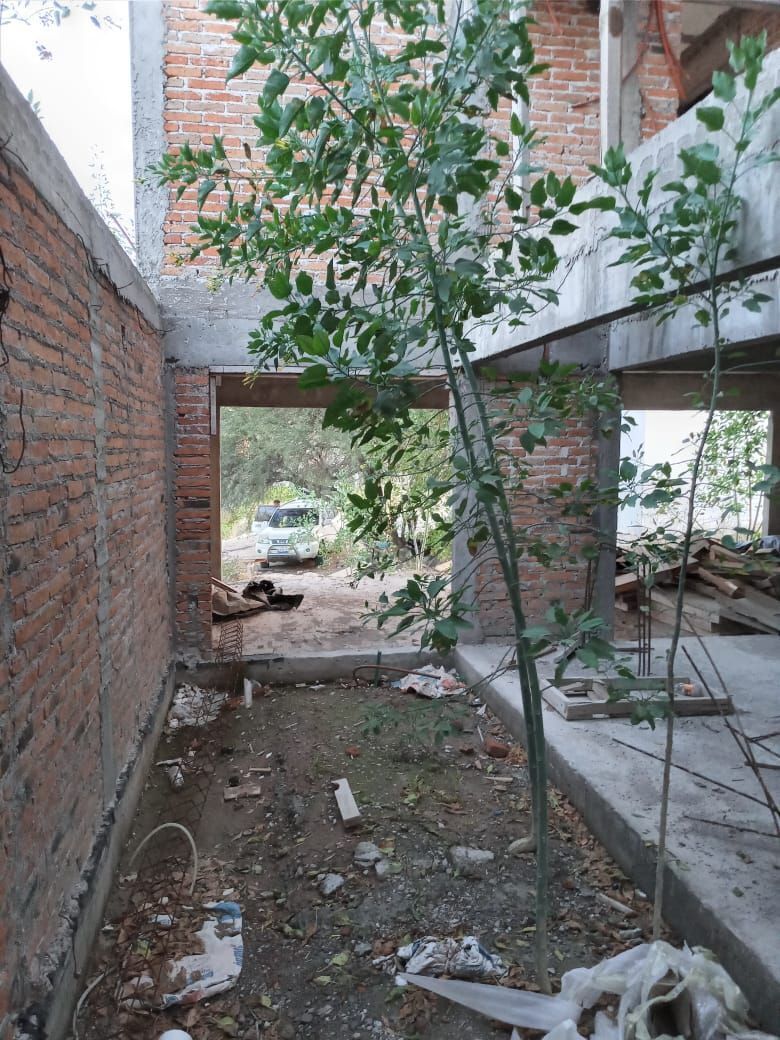 4 de 23: Jardín interno.