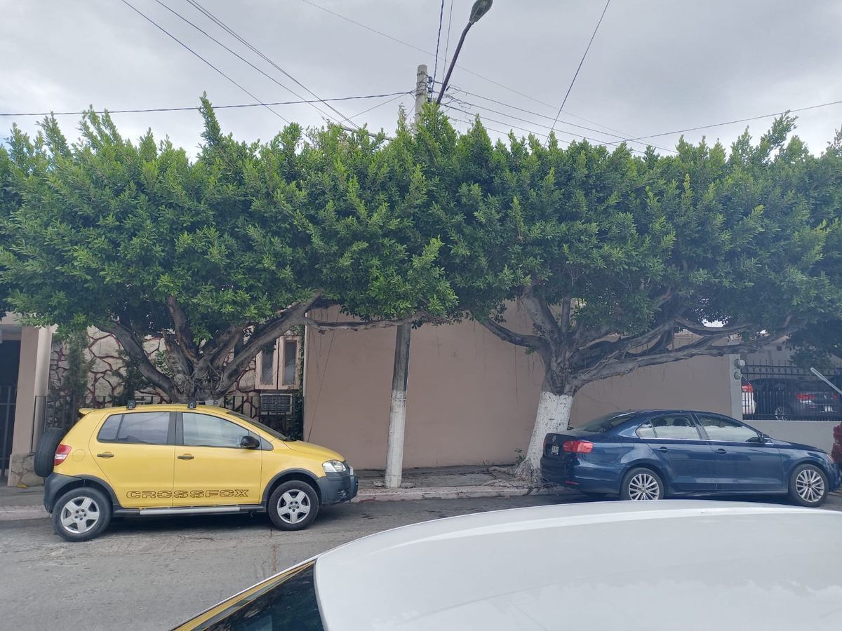 13 de 16