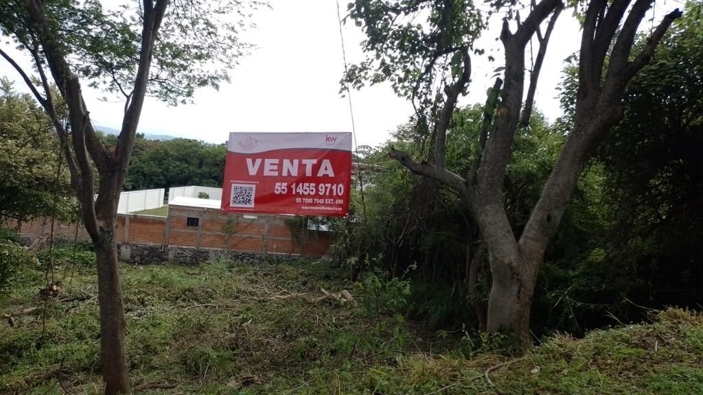 1 de 31