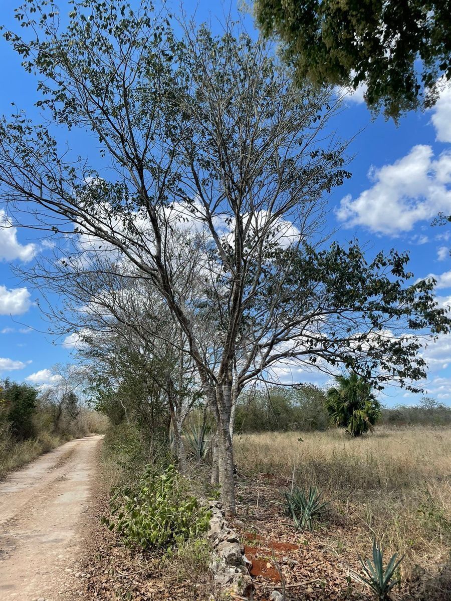 3 de 9