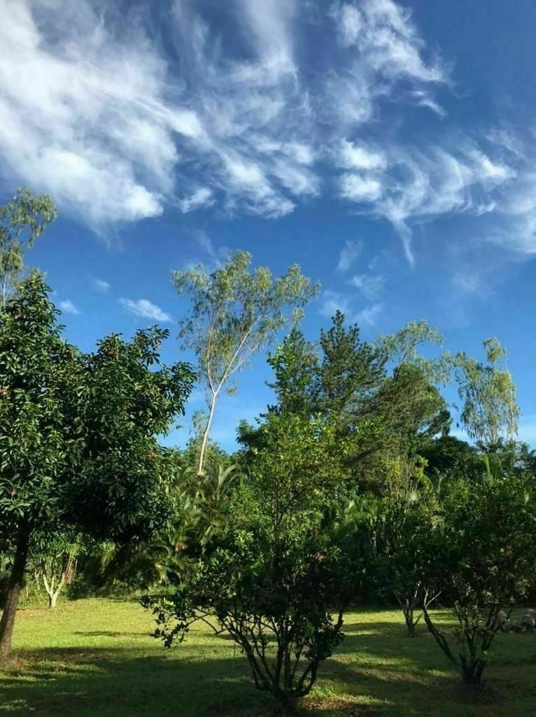 2 de 15: Jardín 