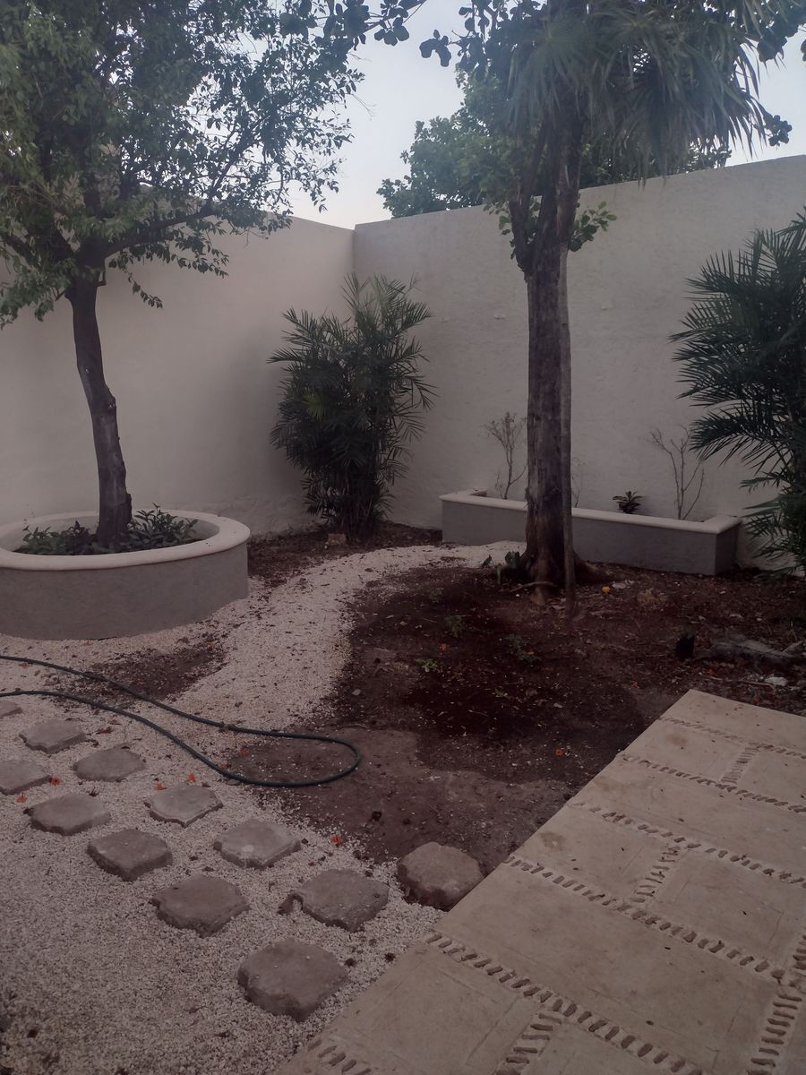 21 de 26: Jardín trasero