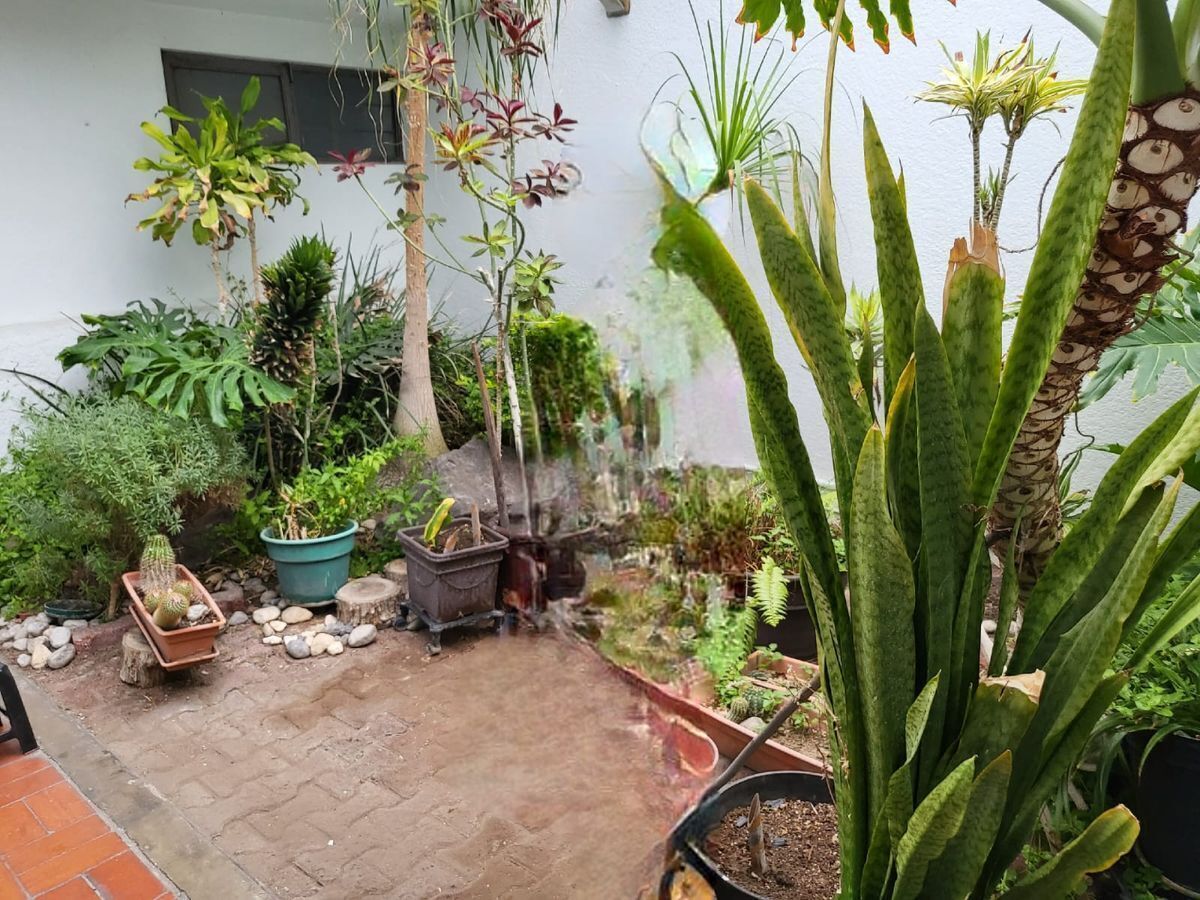 5 de 26