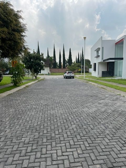 7 de 10