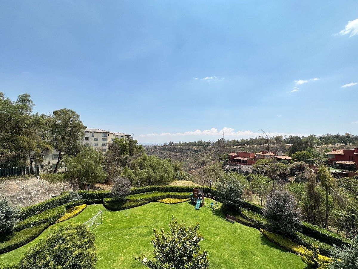 9 de 26: Vistas desde la sala comedor al jardín común 