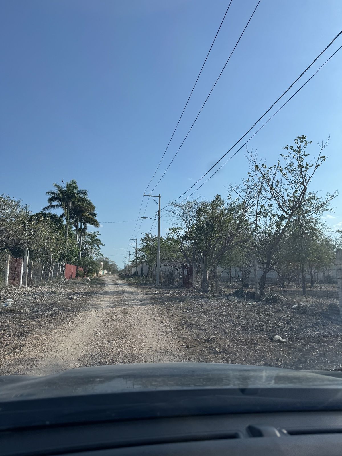 7 de 12