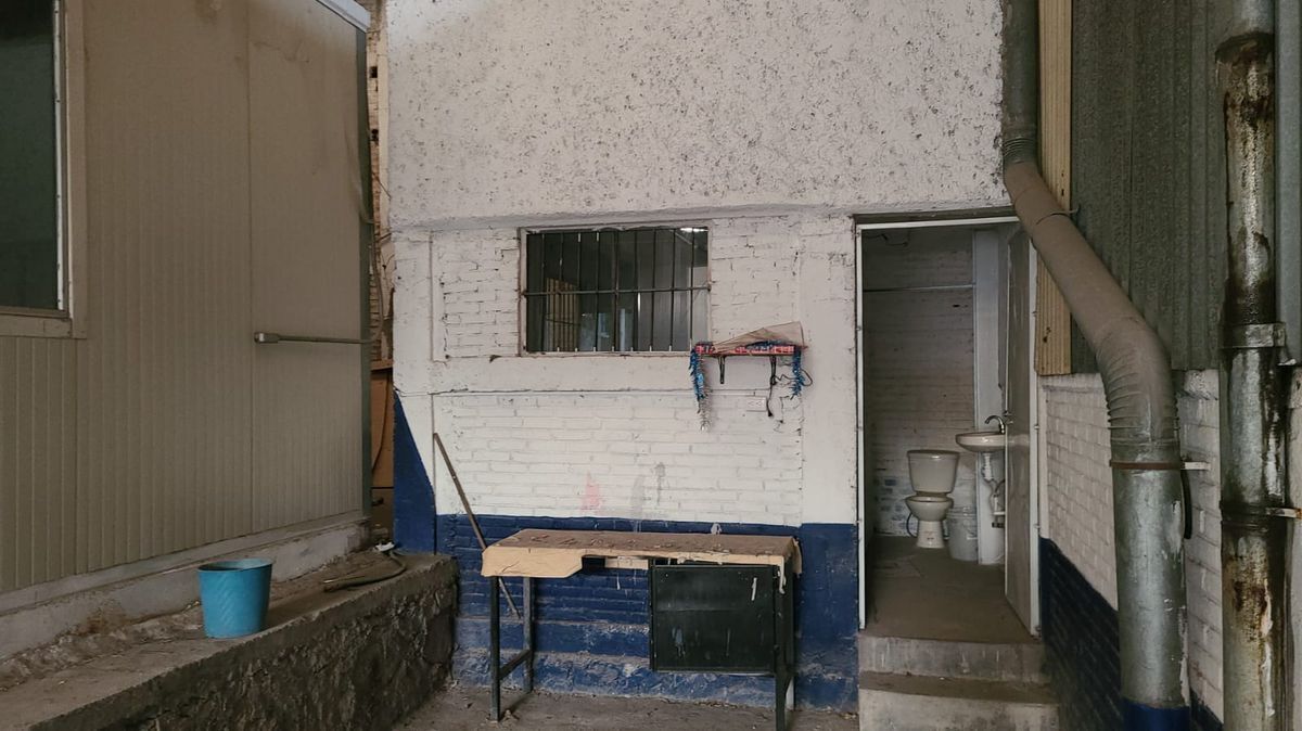 13 de 17