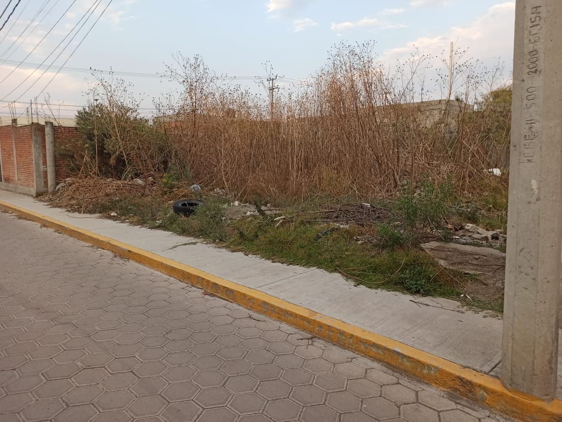 9 de 12