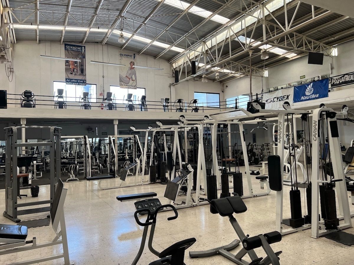 12 de 40: Gimnasio
