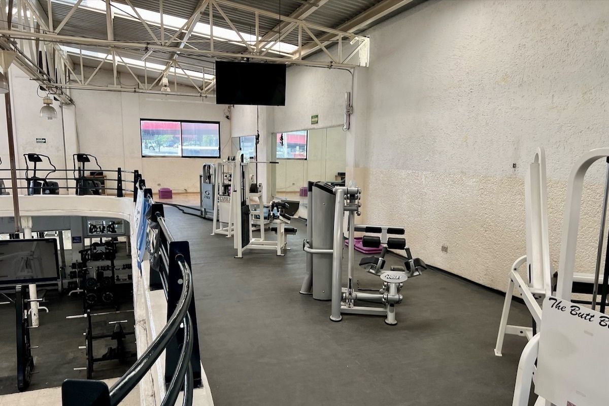25 de 40: Gimnasio