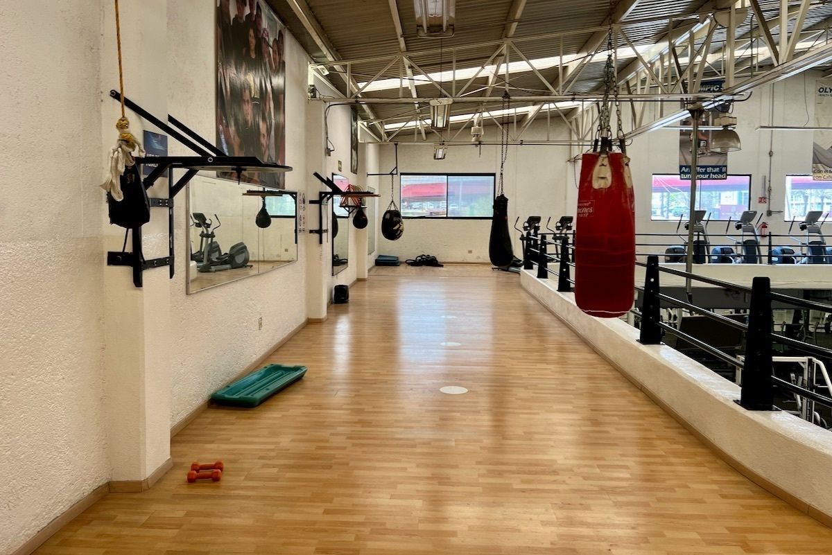 31 de 40: Gimnasio