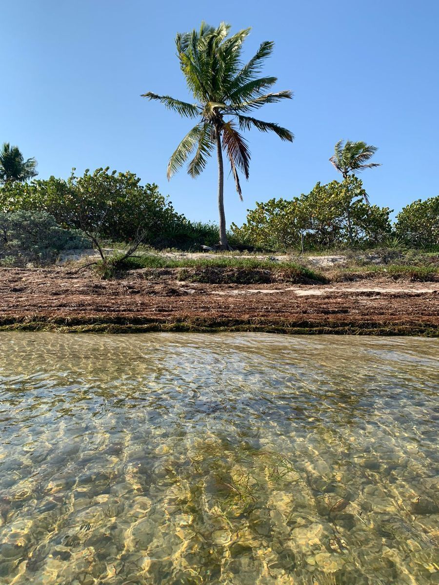 Terreno en Venta frente al mar en la Preciosa Playa de Santa Clara
