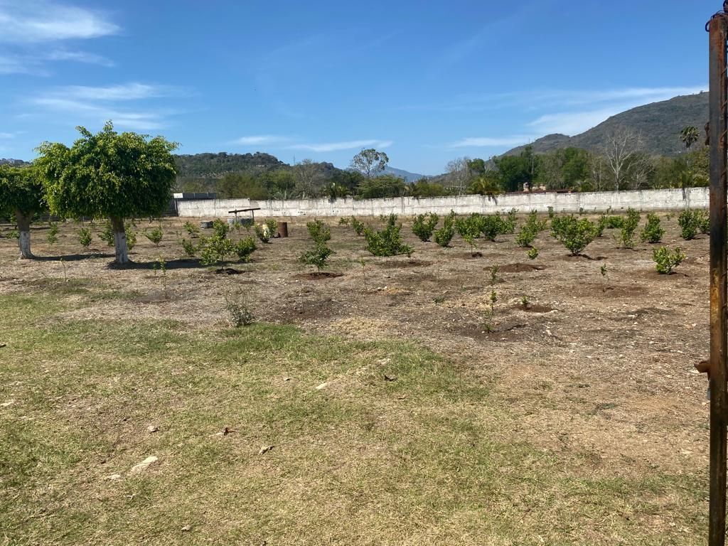 Quinta en El Carmelo, San Fernando, foto 8 de 12