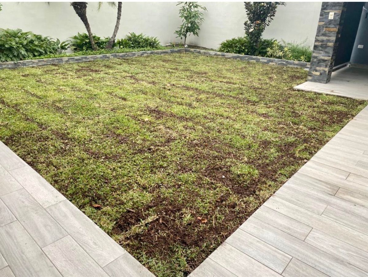 5 de 6: Jardin