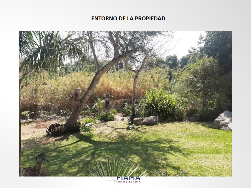 11 de 22