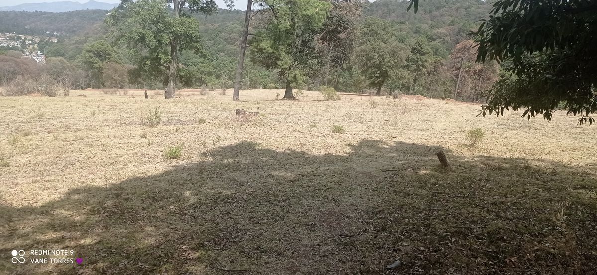 2 de 8