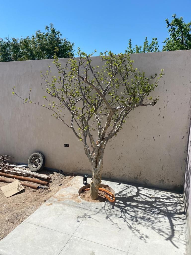 3 de 14: Terraza Recámara Principal (Planta Baja).