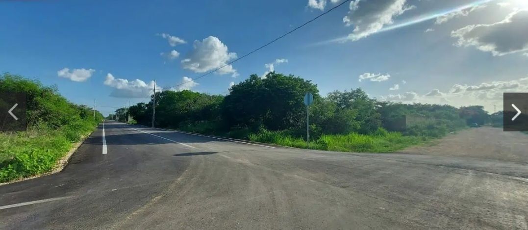 1 de 4