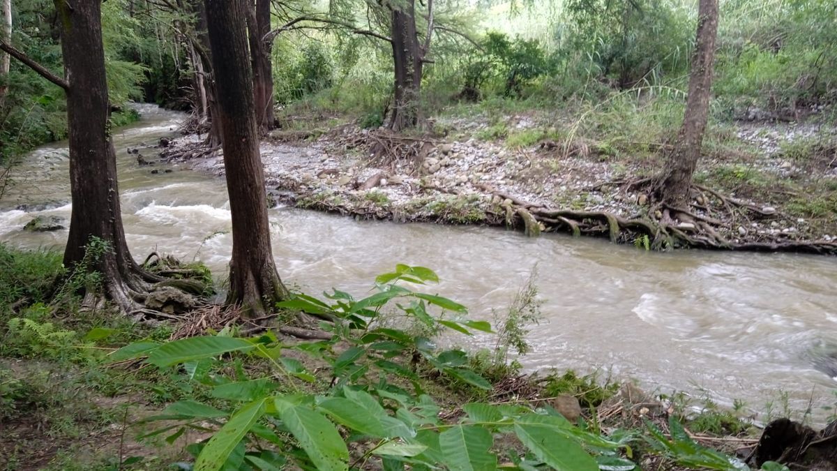 Terreno campestre en La Morita, Montemorelos Nuevo León EasyBroker