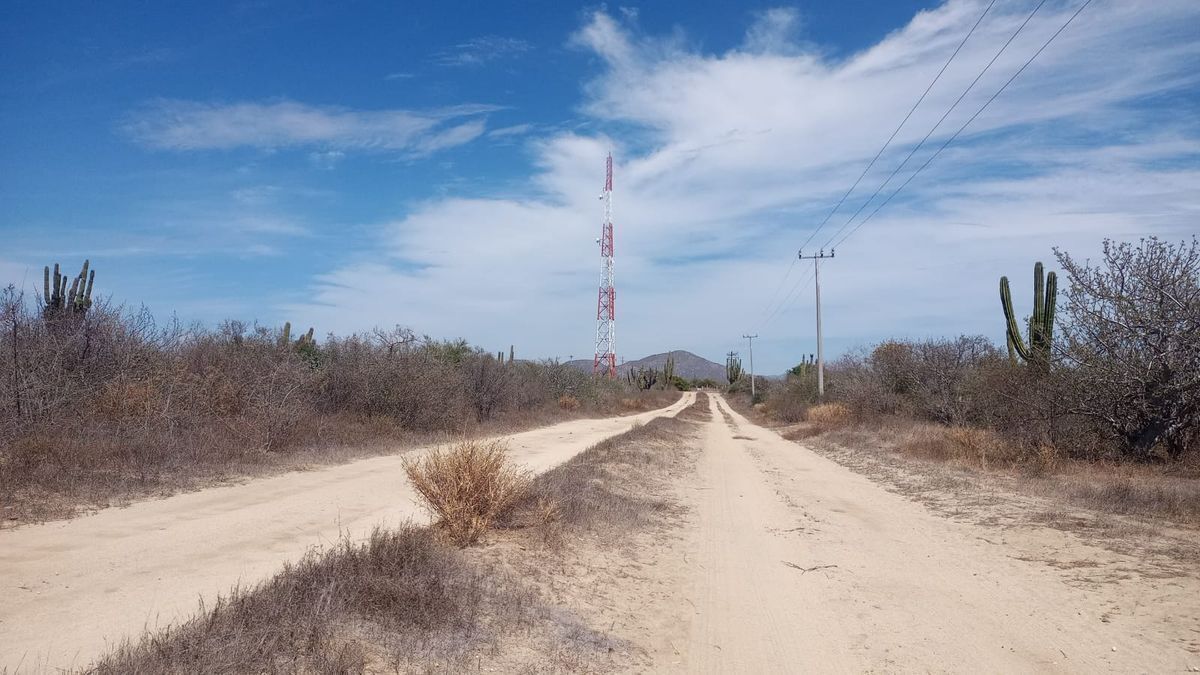 7 de 10