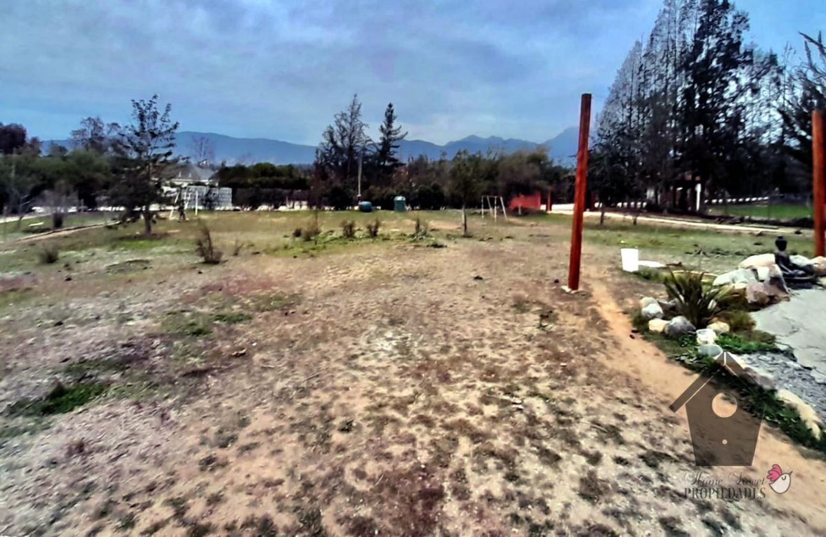 8 de 35
