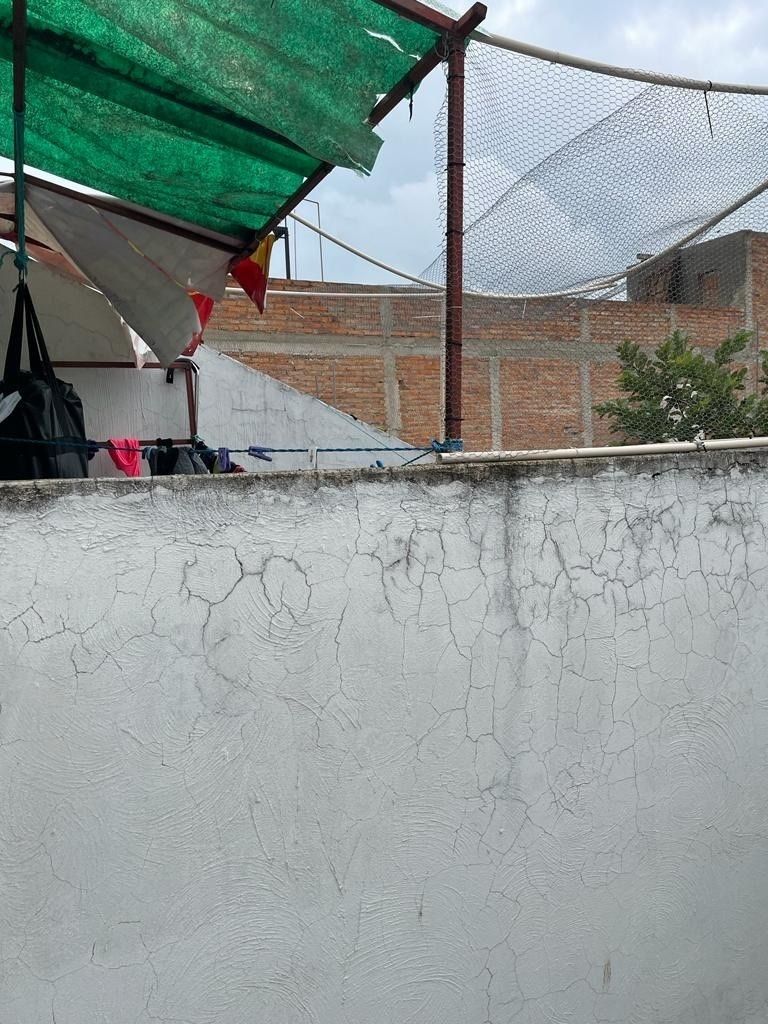 10 de 14