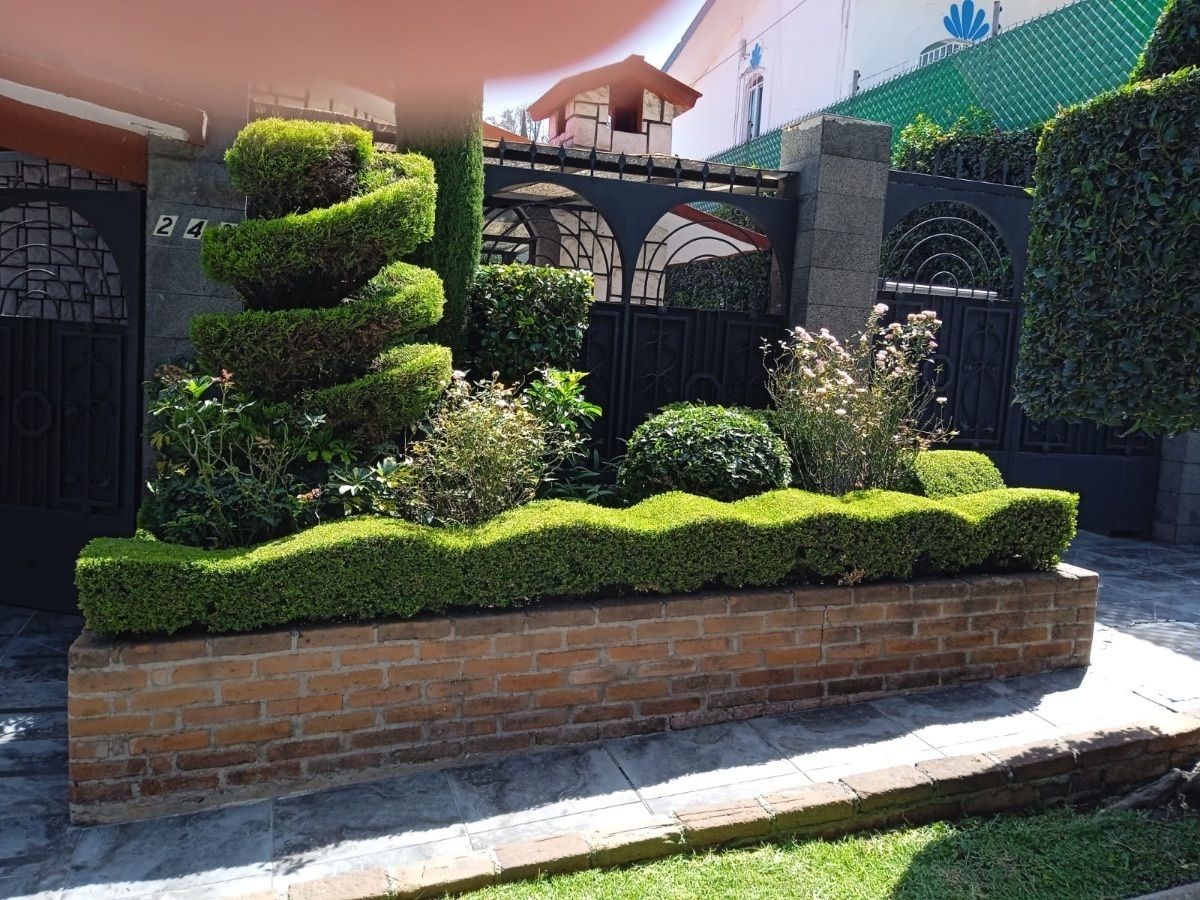 7 de 37