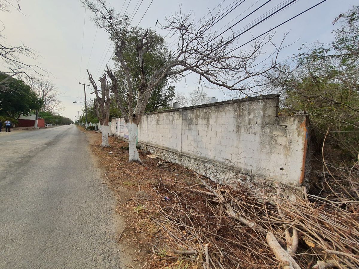 LAND FOR SALE IN CONKAL, MERIDA YUCATAN - foto 2
